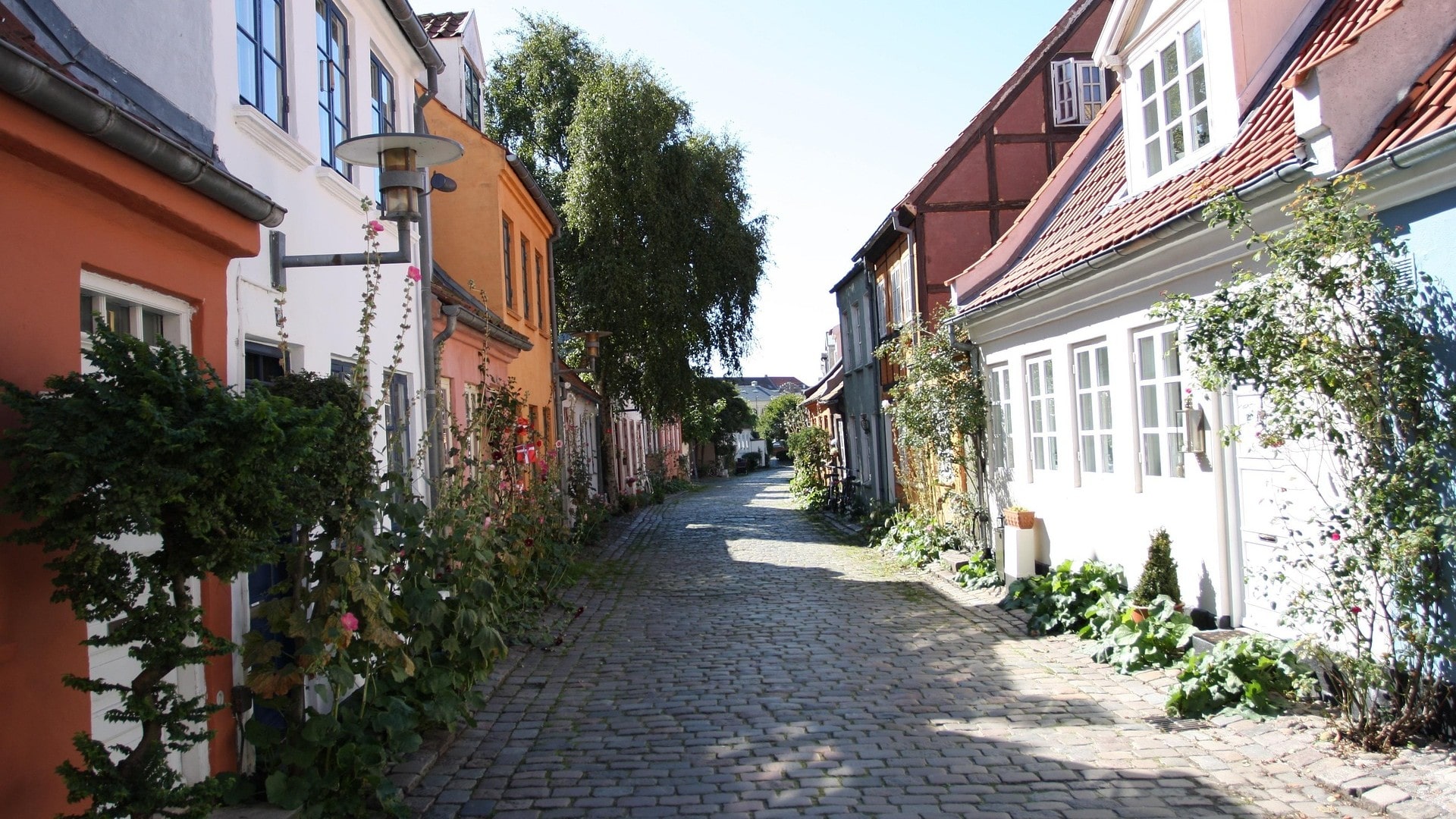 aarhus-9496991920-min-min.jpg