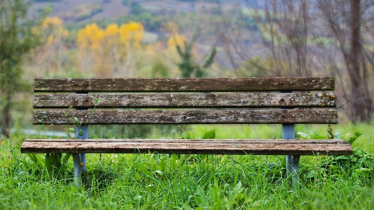 bench-38669171280-crop-min.jpg